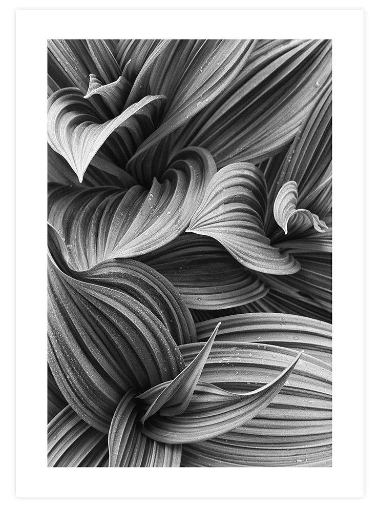 Perfection - Art Print Fotoğraflar Poster