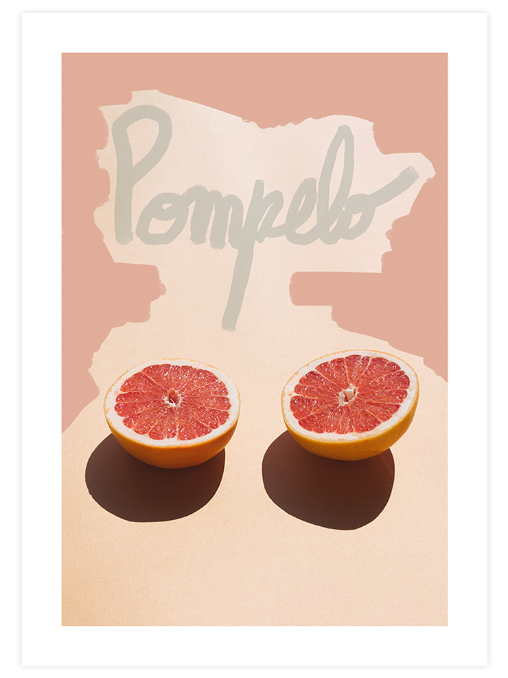 Pompelo - Art Print Mutfak Poster
