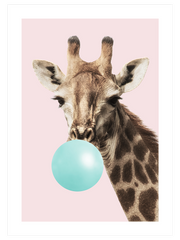 Sakız Şişiren Zürafa Poster - Giclée Baskı