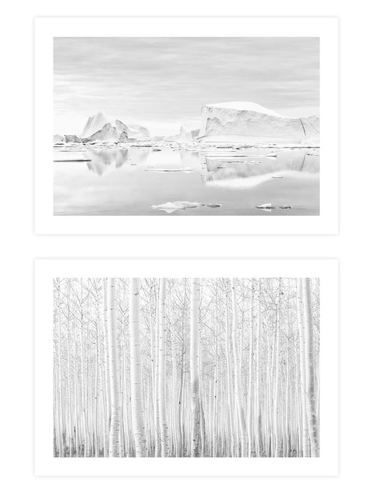 Orman Ve Buzul Poster Seti