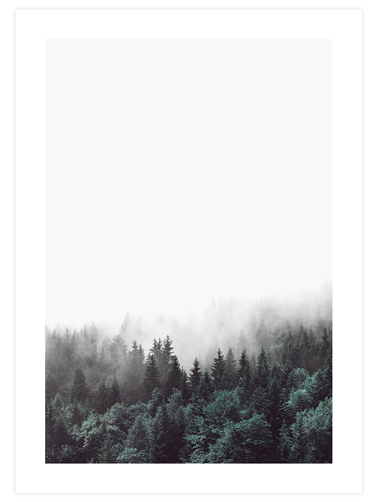 Sisli Orman N2 - Art Print Fotoğraflar Poster