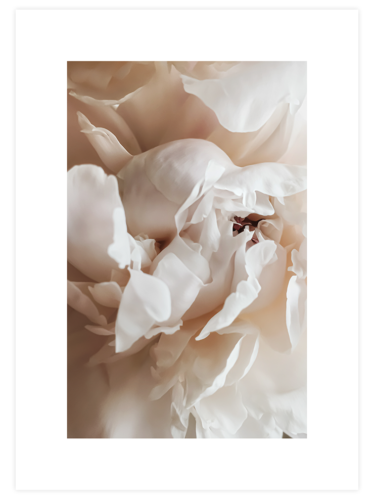 Sweetly N1 - Art Print Fotoğraflar Poster