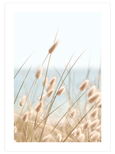 Tavşan Kuyruğu - Art Print