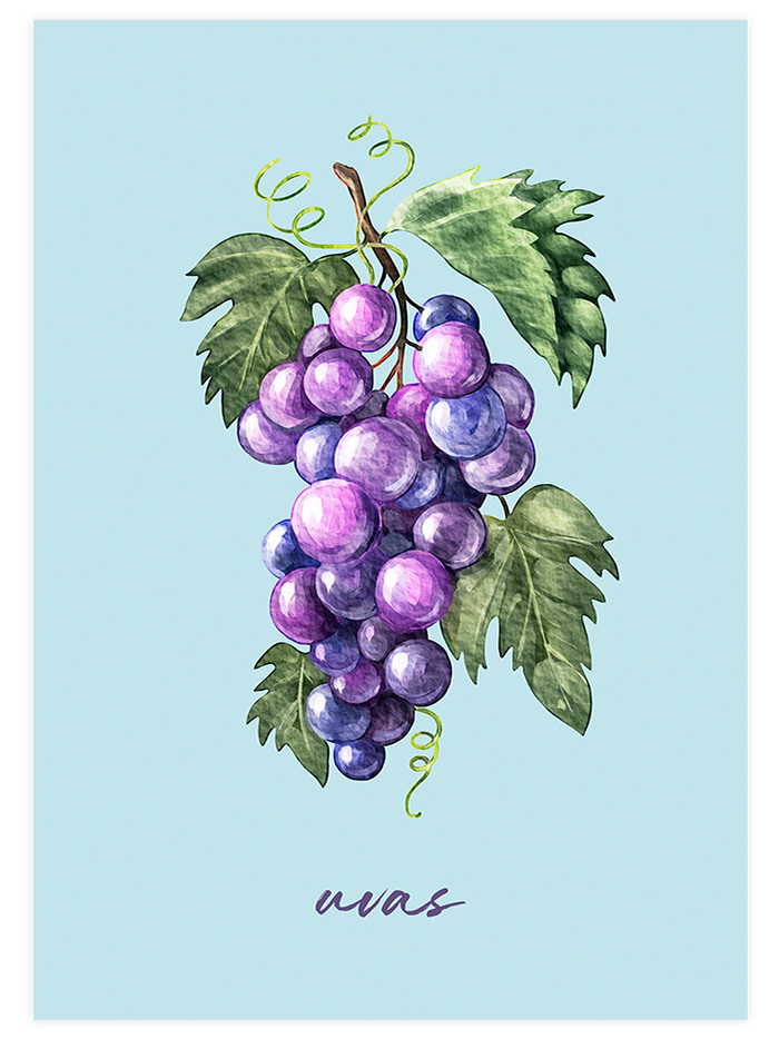 Fruity Colors - Poster Seti Duo Poster