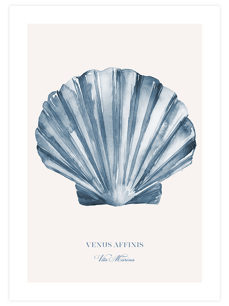 Vita Marina N2 - Art Print Sanatsal Poster