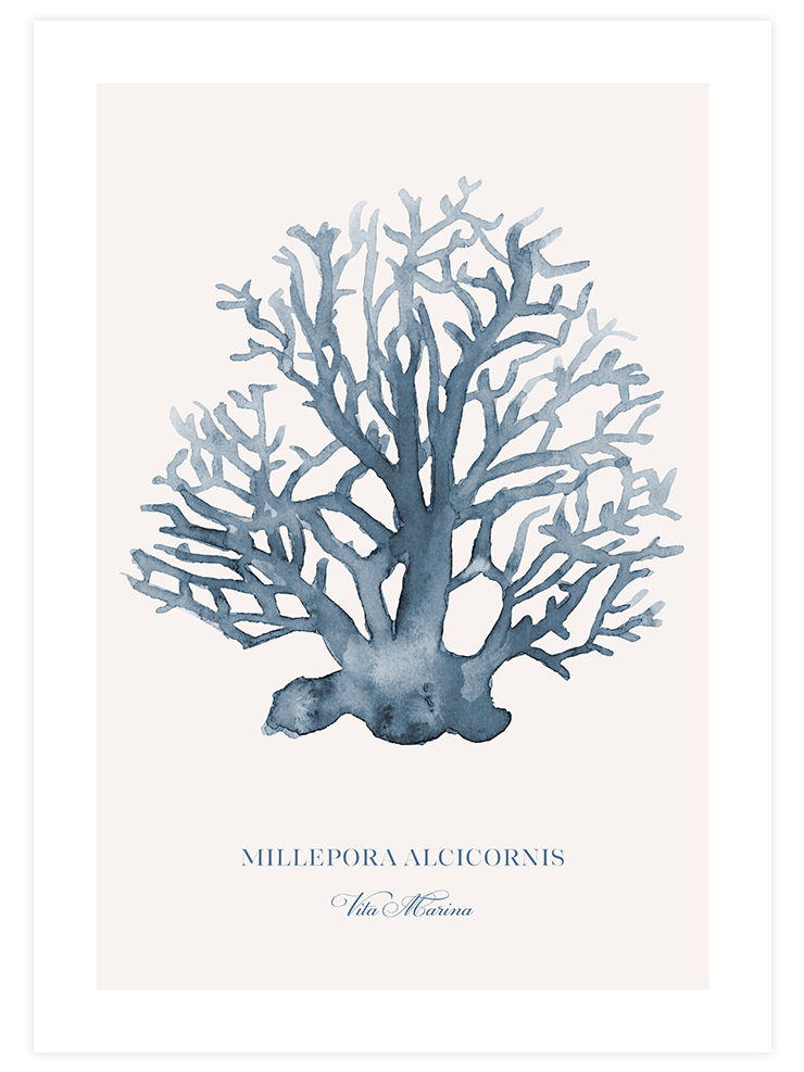 Vita Marina - Art Print Sanatsal Poster