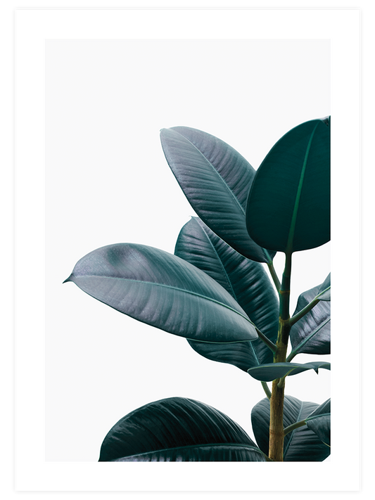 Yeşil Bitki Aşkı N1 Poster - Giclée Baskı