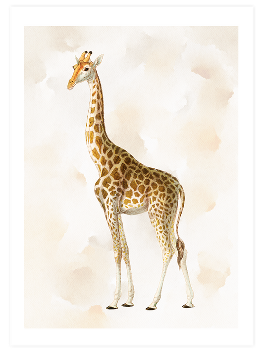 Zürafa N1 Poster - Giclée Baskı