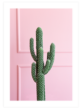 Chic Cactus - Art Print