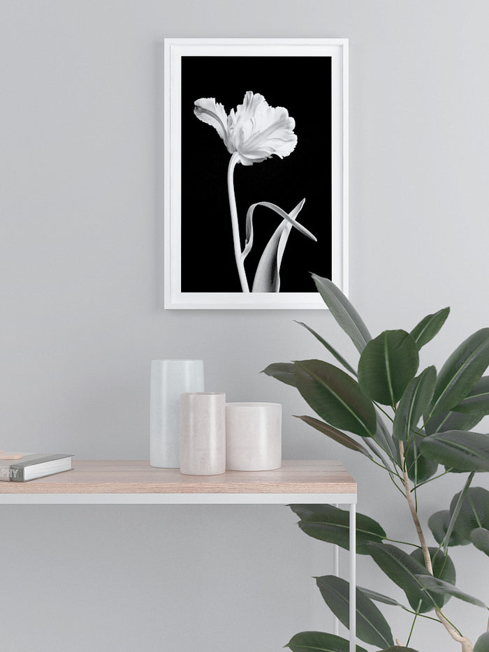 Flor - Art Print Poster