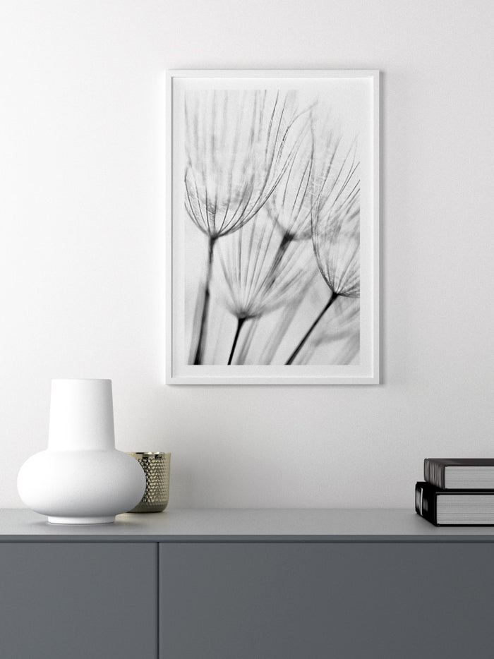 Delicatesse - Art Print Poster