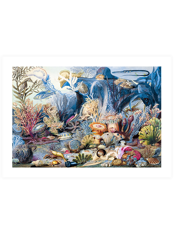 Su Altı Dünyası - Art Print Su Altı Dünyası - Art Print
