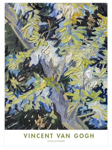 Van Gogh Acacia in Flowers - Art Print Van Gogh Acacia in Flowers - Art Print
