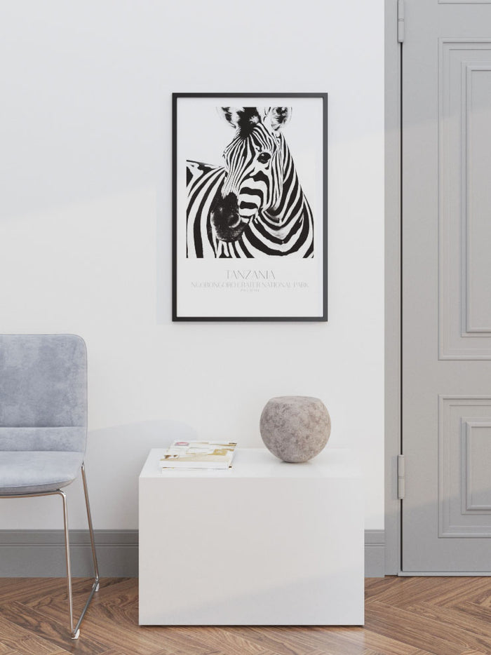 Zèbre De Tanzanie - Art Print Poster