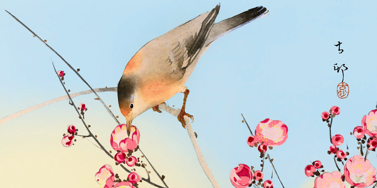 Ohara Koson: Kuş, Dal ve Boşluk