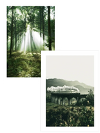 Bosque de Luz - Poster Seti