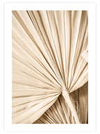 Bej Palmiye Yaprakları N2 - Art Print