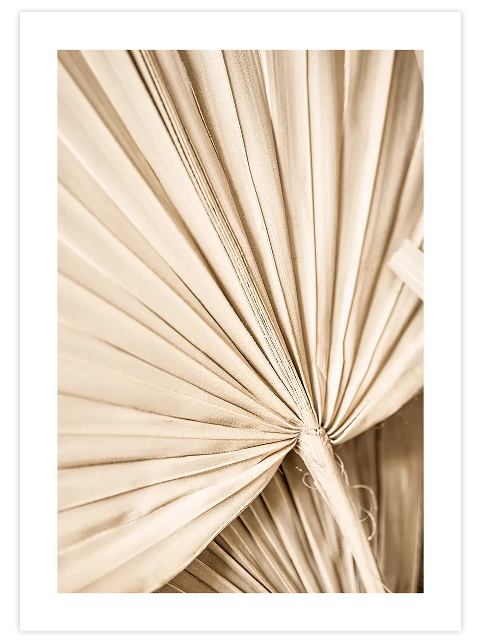 Bej Palmiye Yaprakları N2 - Art Print