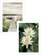 Path to Peace - Poster Seti