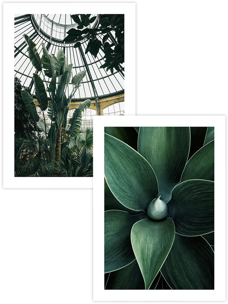 Tropikal Yeşili - Poster Seti Ürün ana görseli