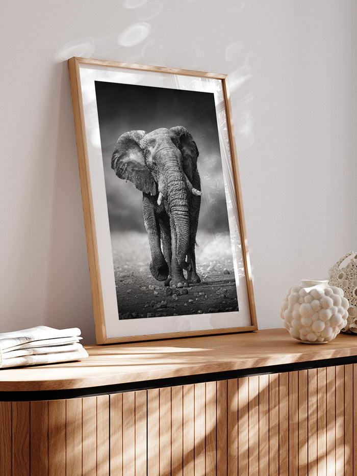 Siyah Beyaz Fil - Art Print  Poster