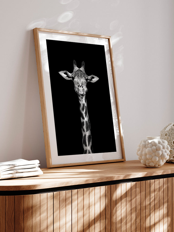 Siyah Beyaz Zürafa - Art Print Ürün ikincil görseli