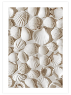 Deniz Kabukları - Art Print