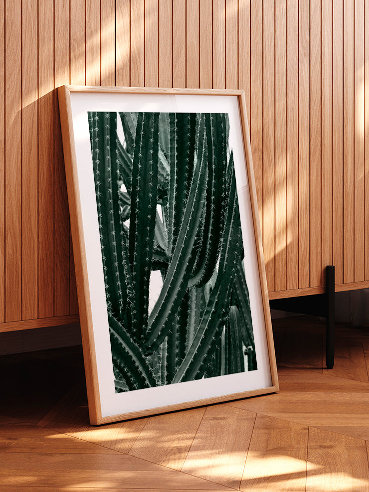 Cactus - Art Print Ürün ikincil görseli
