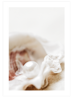 Pearl - Art Print