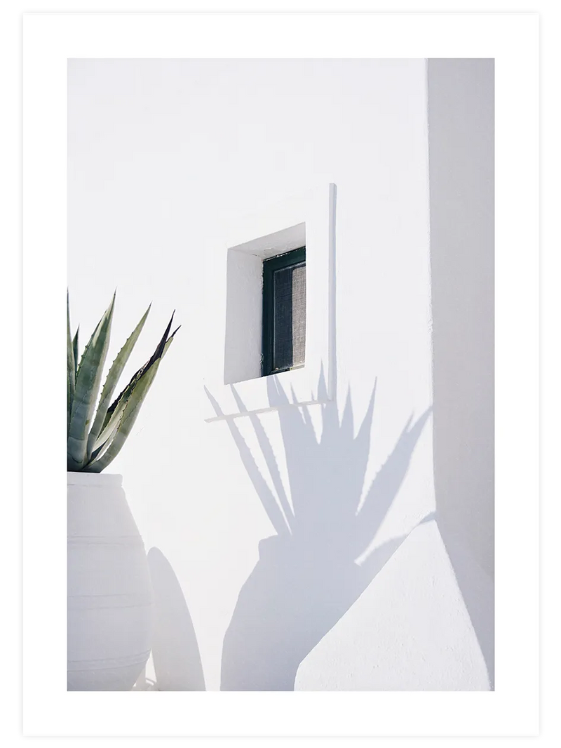 Agave gölgeli beyaz duvar posteri