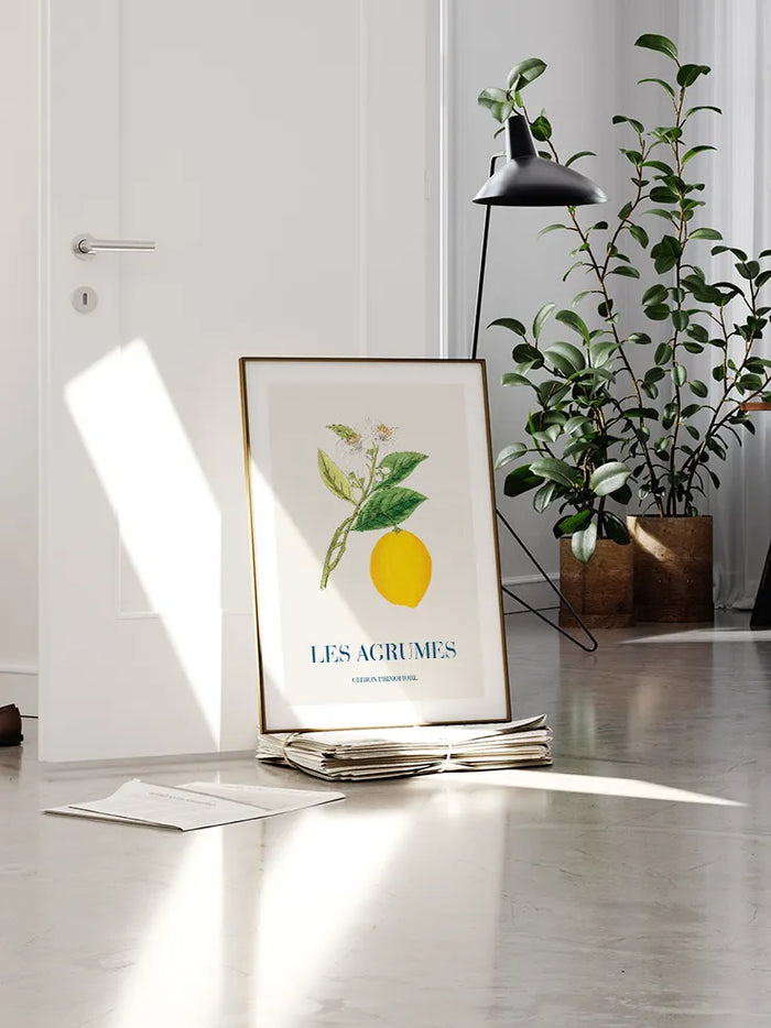 Limon - Art Print