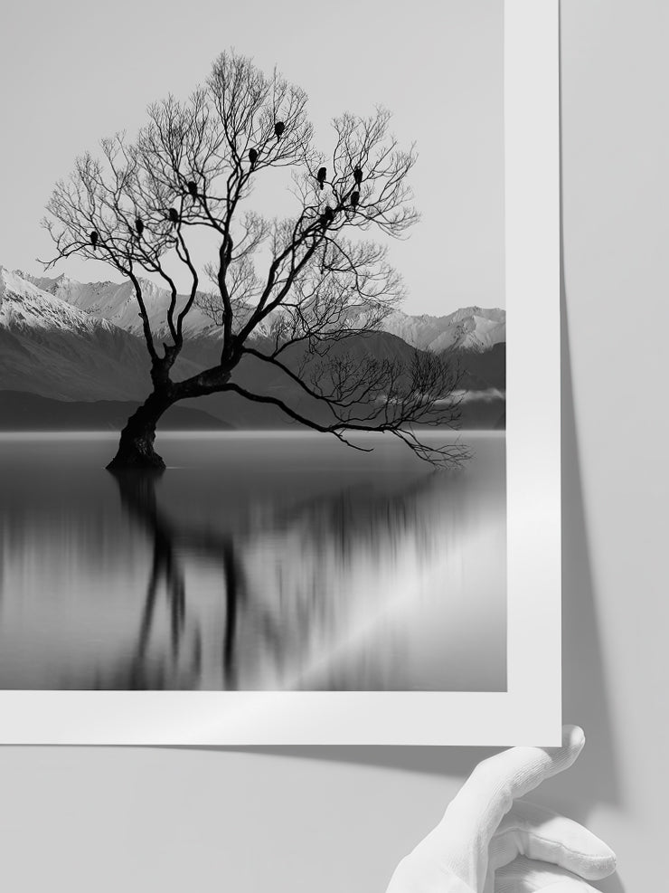 Pureza - Art Print  Poster