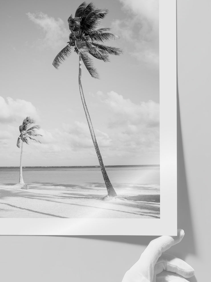 İki Palmiye - Art Print