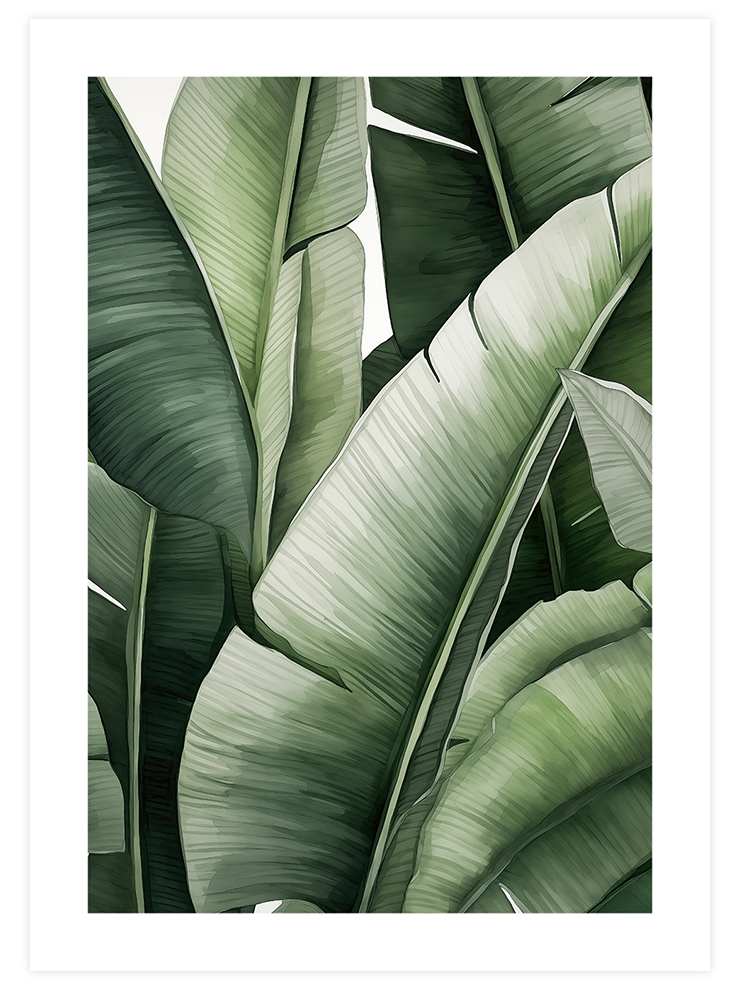 Muz Ağacı - Art Print Sanatsal Poster