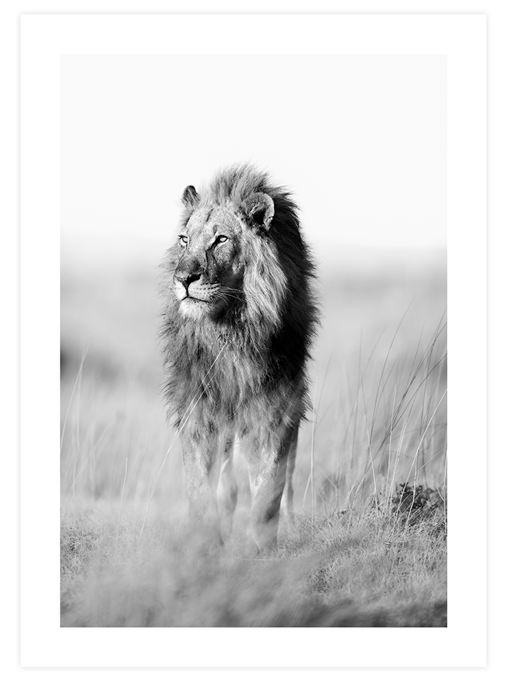 Manhattan & Jazz Poster Seti Ürün ikincil görseli