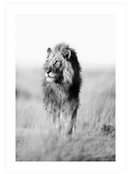 Manhattan & Jazz Poster Seti