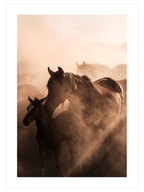 Warm Touch - Poster Seti Trio