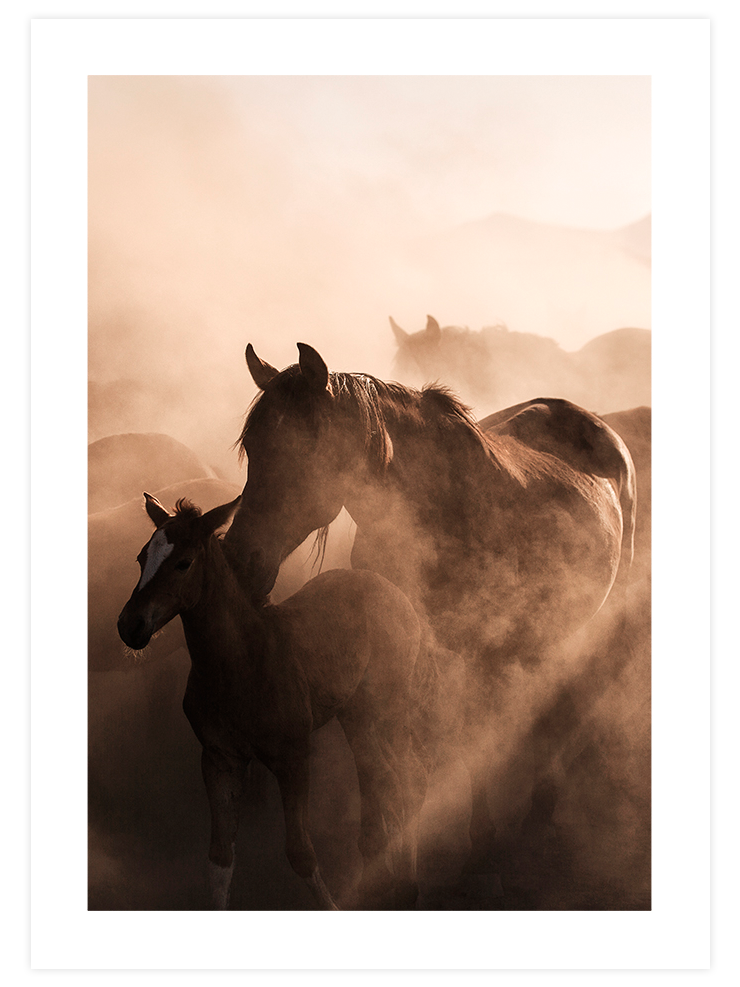 Warm Touch - Poster Seti Trio