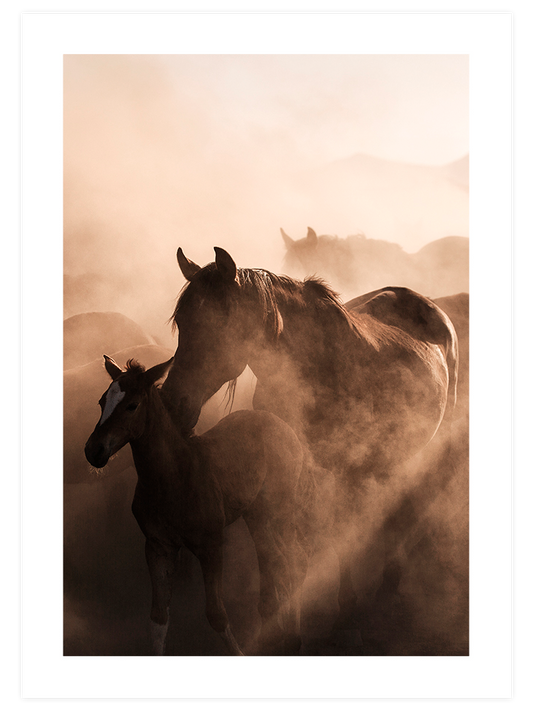 Warm Touch - Poster Seti Trio