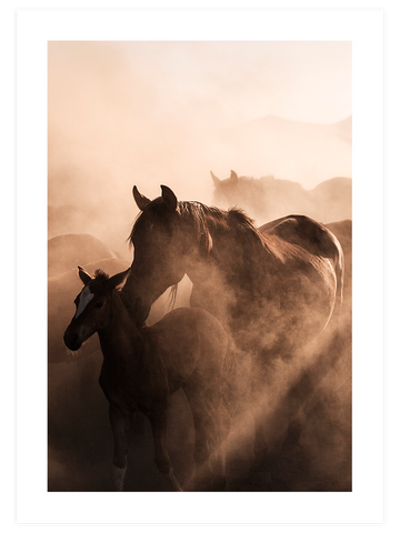Warm Touch - Poster Seti Trio