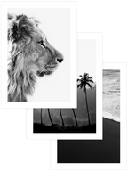 Atemporal Beauty - Poster Seti Trio