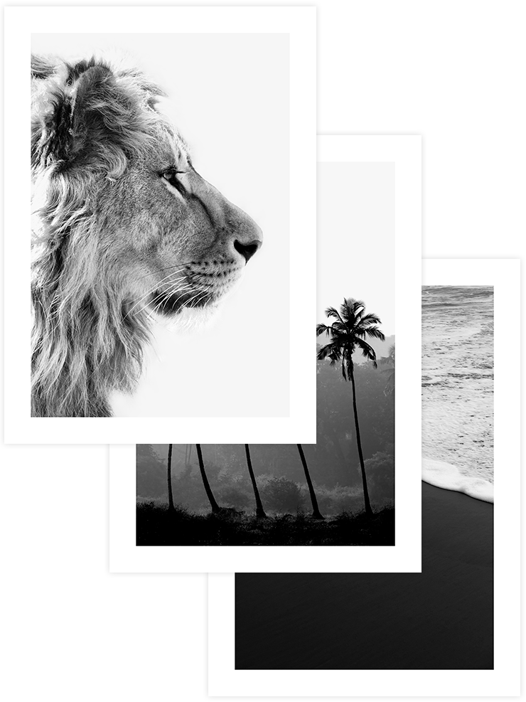 Atemporal Beauty - Poster Seti Trio