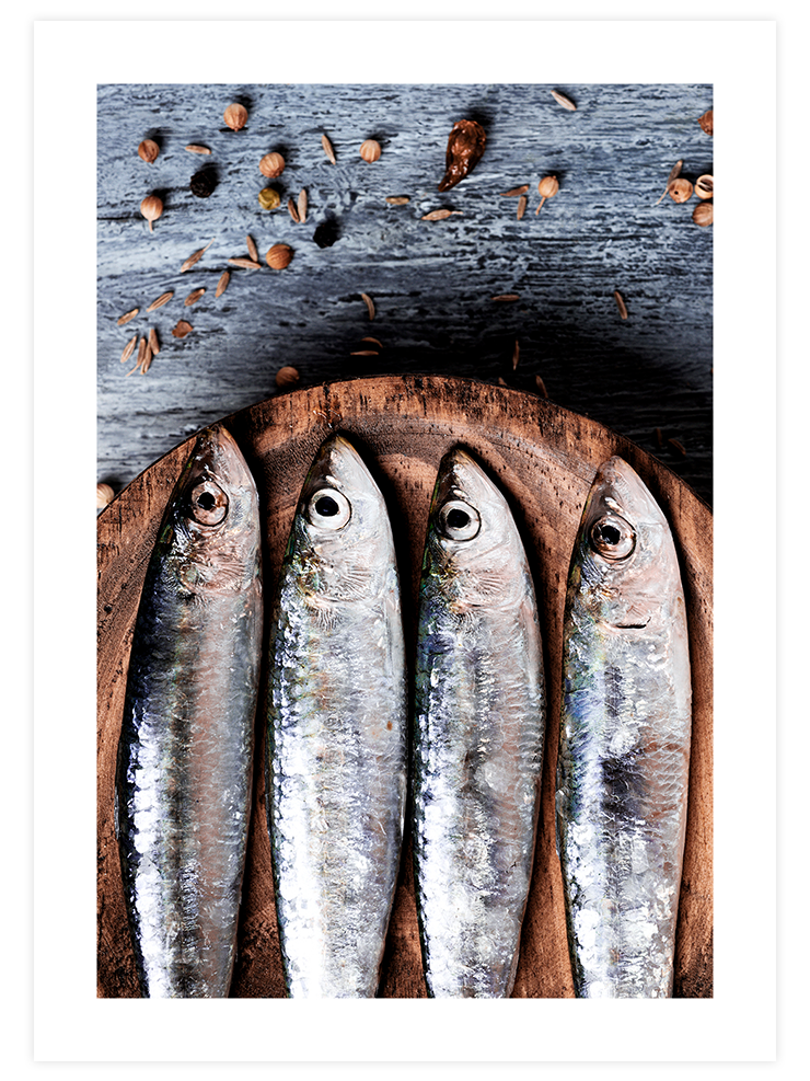 Balık - Art Print Ürün ana görseli