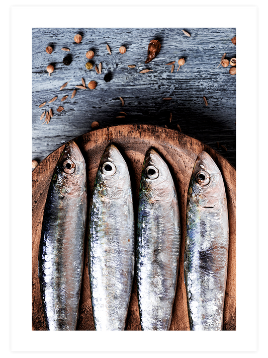 Balık - Art Print