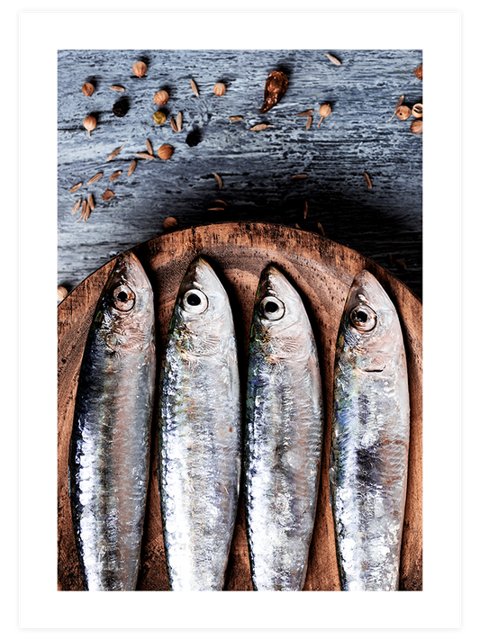 Balık Poster - Giclée Baskı