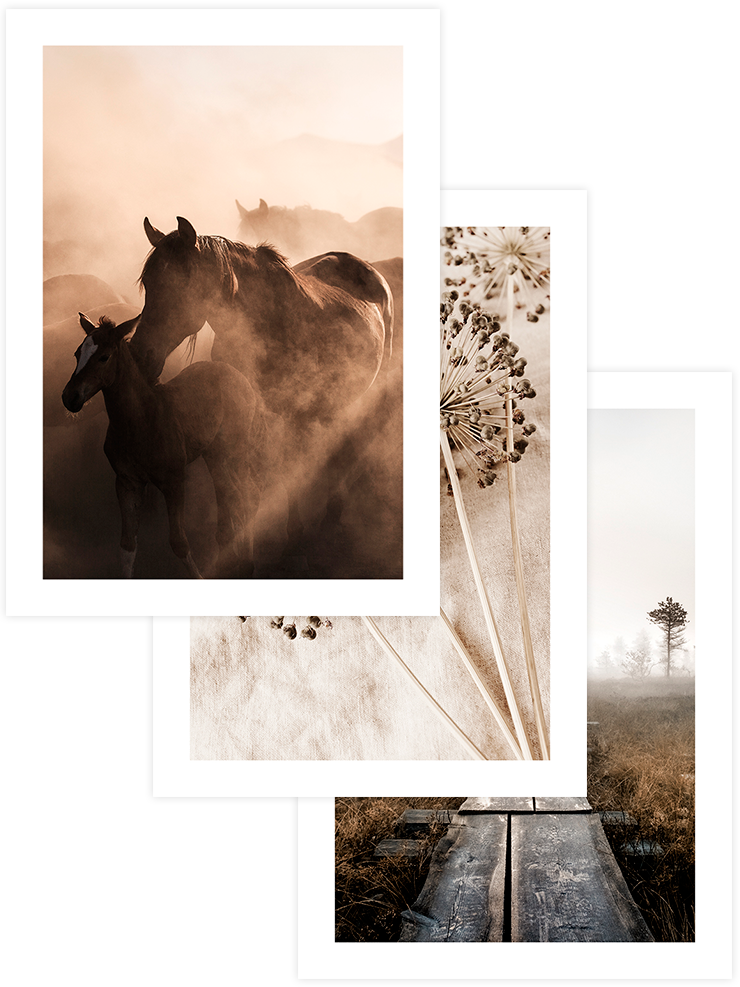 Warm Touch - Poster Seti Trio