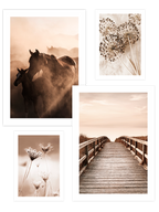 Beige Extreme Poster Seti