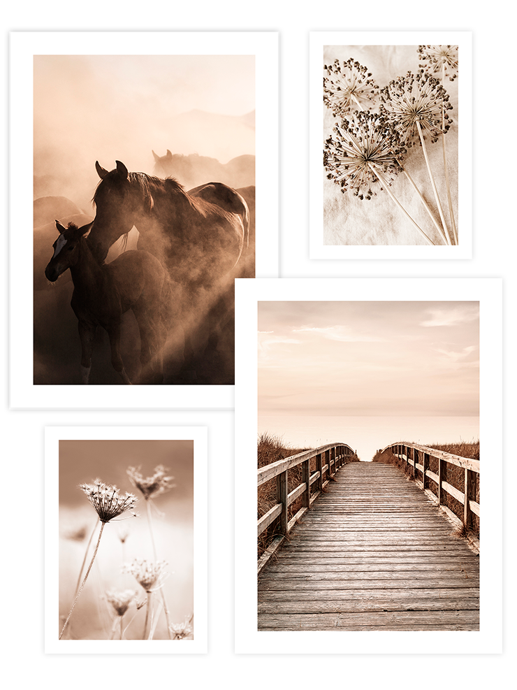 Beige Extreme Poster Seti