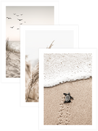 Beige & Beyond - Poster Seti Trio