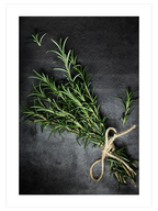 Biberiye - Art Print